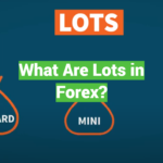 What Are Lots in Forex?